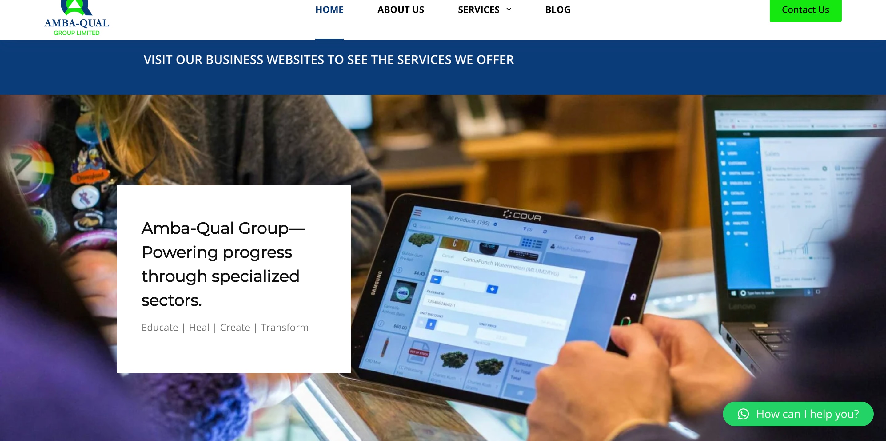 AmbaQual Group - Business website