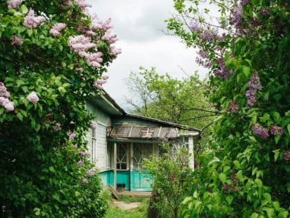 Самарцам рассказали, как сохранить здоровье сердца на даче