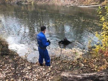 В селе Тимашево Самарской области утонул ребенок