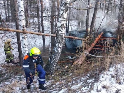 В Тольятти машина врезалась в дерево и загорелась