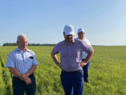 Что в этом году будет с хлебом? Под Сызранью на глазок оценили поля пшеницы