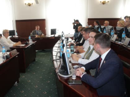 Депутаты Тольятти утвердили изменения в городской бюджет
