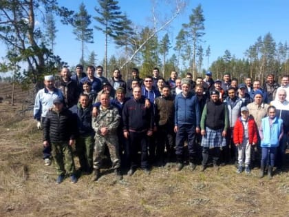 По инициативе РДУМСО прошла экологическая акция, приуроченная к Всероссийскому дню посадки леса