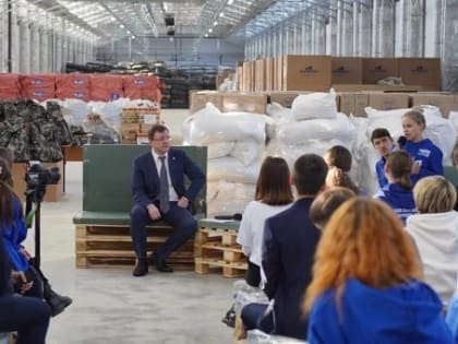 Губернатор поддержал инициативу тольяттинской общественности