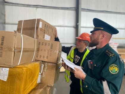 Стало известно, кому разрешили отдавать конфискат с таможни в России