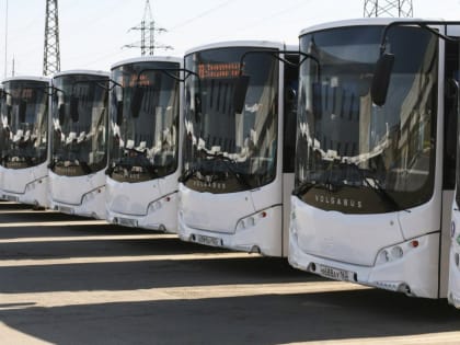 В Тольятти изменилась схема движения нескольких автобусов