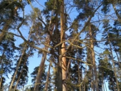 Мониторинг качества атмосферного воздуха