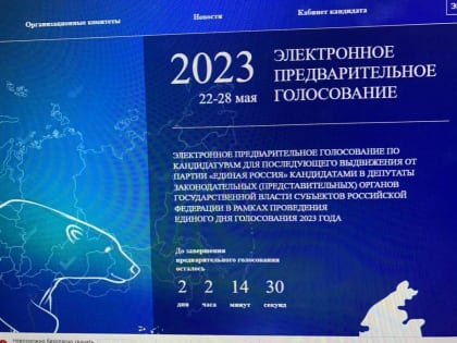 Продолжается предварительное голосование «Единой России»