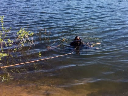 В Самарской области погиб водитель машины, съехавшей в озеро