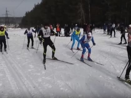 Спорт, «горный лен» и здоровье