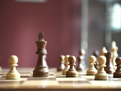 Для тольяттинской школы шахмат хотят построить современное здание