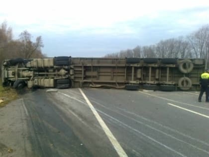 (фото) Появились фото и подробности ДТП с фурой под Рязанью. «Длинномер» оказался тольяттинским