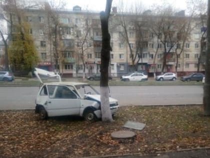 (фото) В Самаре «Ока» пыталась свалить дерево, но не справилась