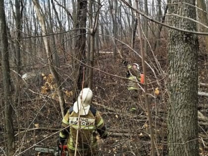 В Волжском районе устраняют последствия лесного пожара