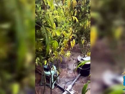 Злоумышленник арендовал помещение для преступной деятельности