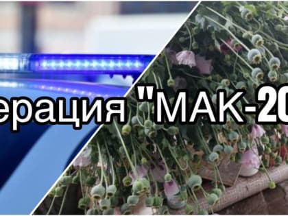 В Тольятти стартовал этап операции «Мак-2024»