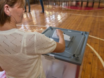 Выберут замену Сазонову: в Самарской области стартовали выборы депутатов