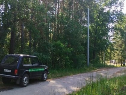 В Тольятти продлен запрет на посещение лесов