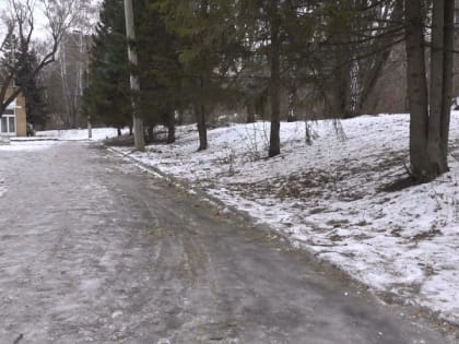 Густой туман и ледяной дождь: синоптики рассказали о погоде в выходные