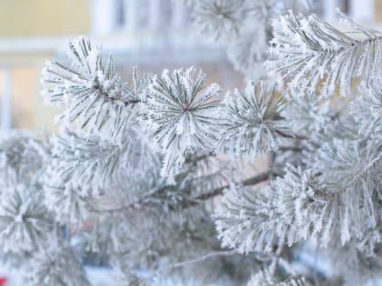 Самарцам рассказали, как будут учиться школьники в холода