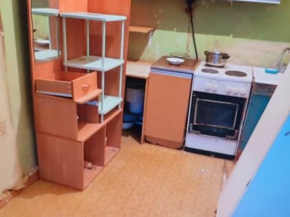 Полиция Тольятти задержала соседа за кражу бытовой техники