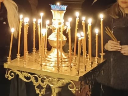 Священник объяснил, считается ли усыпление больных домашних животных страшным грехом