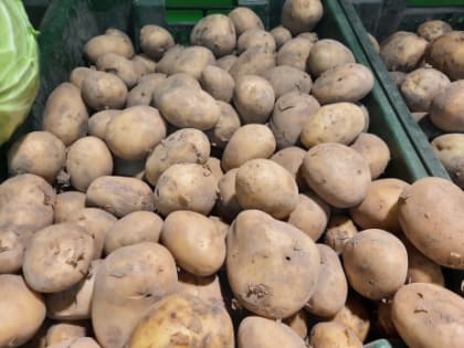 Цены определяет не рынок, а торговые сети - в Госдуме объяснили резкий взлет цен на картошку и свеклу