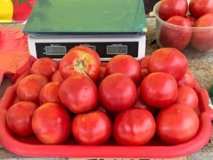 Бриллиантовые помидоры: на рынках появились первые сызранские томаты - покупатели ахнули от цен