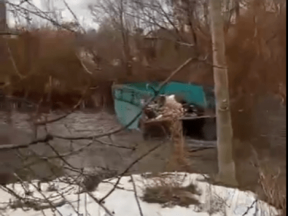 И плыла по речке не лодочка, а кое-что покруче: видео из Молдавки, где жители не видели такого десятки лет