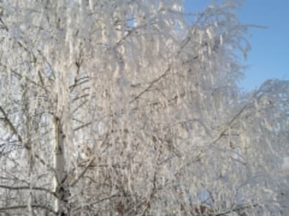 Мониторинг качества атмосферного воздуха