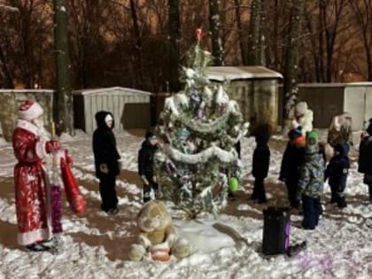 Активисты из Отрадного принимают участие в конкурсе «Лучший зимний двор России»