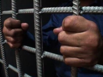 Ужасные преступления на ферме в Сызрани