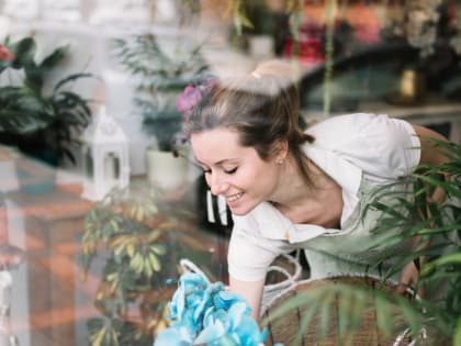 5 причин установить мягкие окна на даче уже этим летом