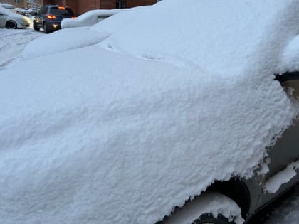 В Самарской области в первые дни декабря ожидается снег