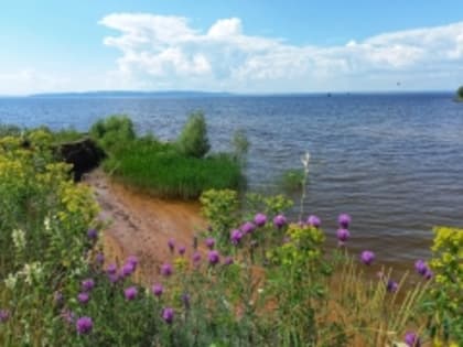 Мониторинг качества атмосферного воздуха