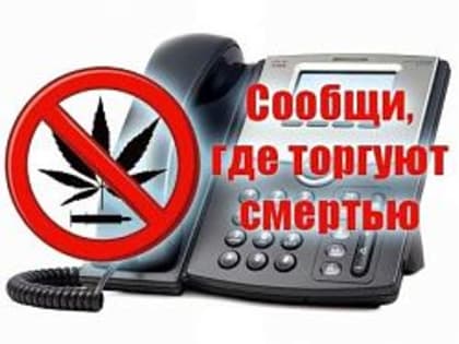 Сообщи, где торгуют смертью