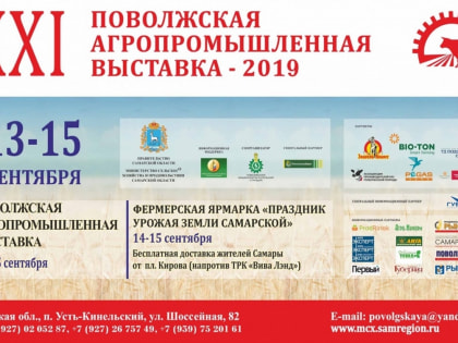 Народные песни, казачья джигитовка и многое другое – это XXI Поволжская агропромышленная выставка
