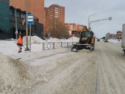 В заложниках у стихии: Ренц рассказал о расчистке дорог от снега в Тольятти