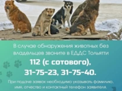 Женщина на бульваре 50 лет Октября могла пострадать от укуса домашней собаки, находившейся на самовыгуле