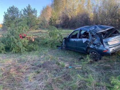 Житель Москвы погиб в Самарской области, опроки­нувшись на «Калине»