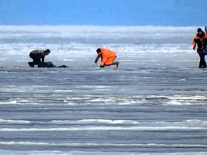 Четверо рыбаков погибли за время ледостава на Волге в Самарской области