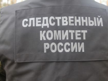 В Самарской области пенсионерке-экстремистке предъявили новые обвинения