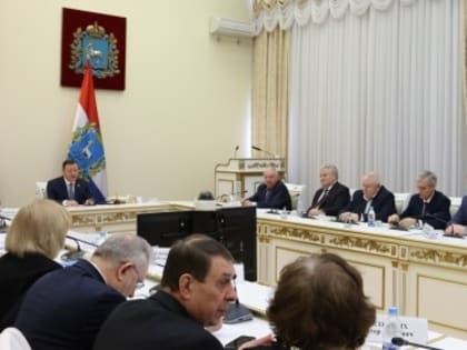 (мнение) Дмитрий Азаров принял участие в заседании Общественной палаты Самарской области: подробности