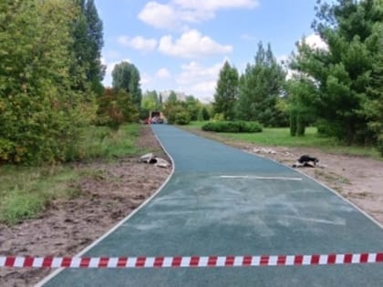 Итоги голосования по благоустройству городской среды