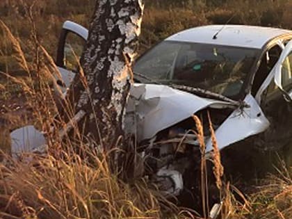 Выбирайте безопасную скорость! В Ставропольском районе автомобиль съехал с трассы М-5 и врезался в дерево