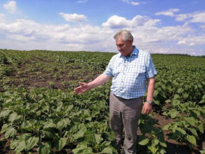 Как из сызранских аграриев ловкие дельцы выкачивают деньги: откровение из первых уст