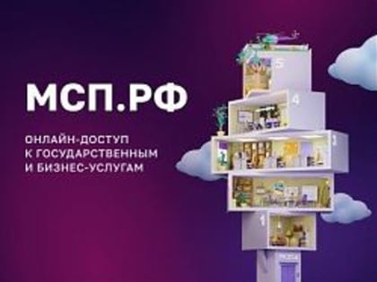 В Самарской области динамично растет число пользователей Цифровой платформы МСП.РФ