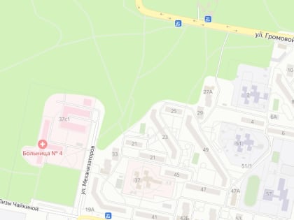Тольяттинцы собирают подписи против новой дороги в Комсомольском районе