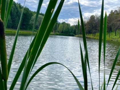 Самарцам рассказали, чем опасен зуд купальщиков