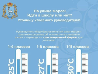 В самарском Минобре рассказали о режиме посещения школ в морозы